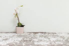 how to choose wall to wall carpet