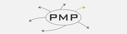 Free Download Pmp Certification Resource Pmp Itto Mind Map