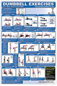 dumbbell exercises lower body core