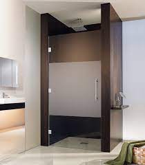 Frosted Shower Door Shower Doors With