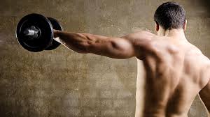 building shoulder strength and muscle