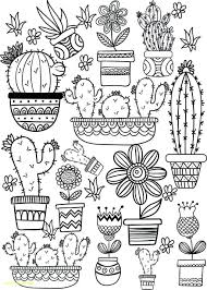 Kawaii sød tegning plante fiesta tegneserie saftige fest mexico ørken. Pin On Make Coloring Pages Diy