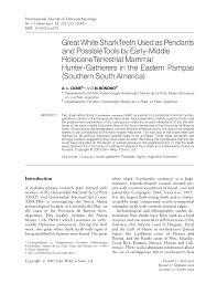pdf great white shark teeth used as