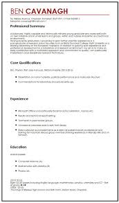 What Should I put on my First CV   Template 