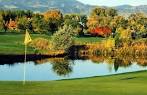 Greg Mastriona Golf Courses at Hyland Hills - Blue Course in ...