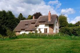 Thatched Property Insurance Expensive