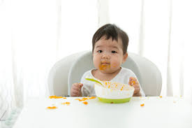 the 3 baby food ses what foods and when