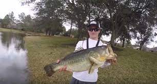 We found 19 results for fishing lakes ponds in or near san bernardino, ca. Here S Why Bass Fishing In A Local Neighborhood Pond Pays Off