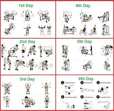 Gym Exercise Chart Day By Day Www Bedowntowndaytona Com