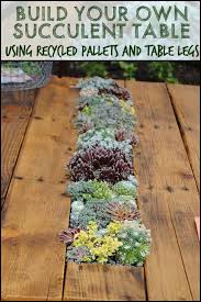 diy succulent table recycled pallets