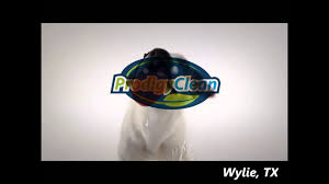 carpet cleaning wylie tx prodigy