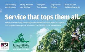 Tree Service Advertising Barca Fontanacountryinn Com