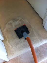 professional carpet cleaning gold coast