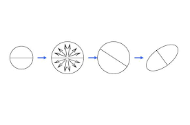 Navier Stokes Equations Cfd Wiki