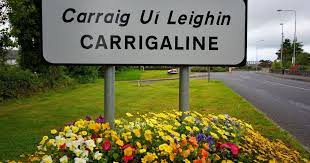 Carrigaline Proud Of Its Tidy Towns Heroes