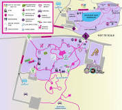 where-do-you-park-for-the-rochester-lilac-festival