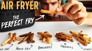 the best air fryer french fry ranking