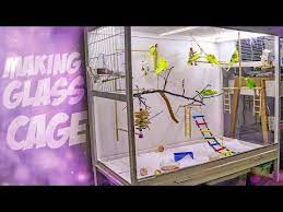 You Diy Bird Cage Glass Cages