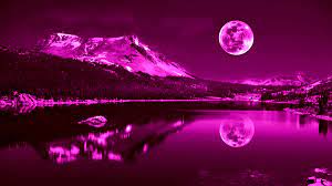 Pink Moon Wallpapers - Top Free Pink ...