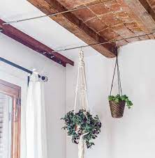 How To Hang Plant From Ceiling Without