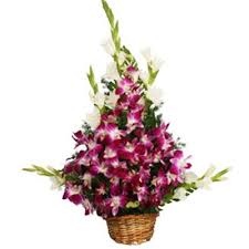 send orchid arrangement gifts to hyderabad