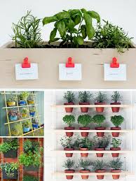 Small Space Herb Garden Ideas