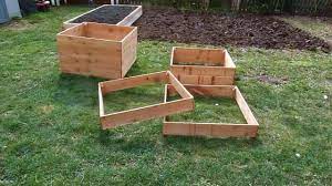 Place cardboard or other paper down under the potato box to help prevent weeds from growing through from the dirt underneath. Grow 100 Pounds Of Potatoes In A Diy Square Garden Design