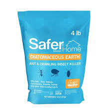 safer home diatomaceous earth ant