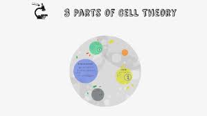 cell theory by lexi sederopoulos