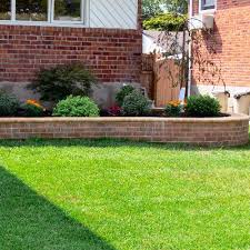 They need to be kept in check for a healthy looking lawn. The 10 Best Lawn Care Services In Ocala Fl With Free Quotes