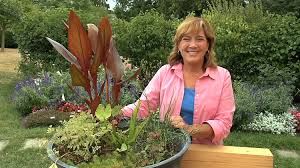 grow a bog garden in a pot melinda myers