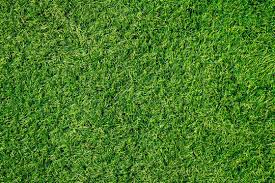 Fake Grass Images Browse 12 120 Stock