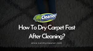 how to dry carpet fast after cleaning