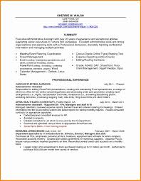 Project Management Executive Summary Template Manager Resume