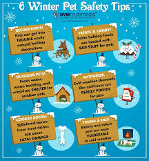 Animal emergency center of las vegas & henderson. 6 Winter Pet Safety Tips Pet Safety Winter Safety Safety Tips