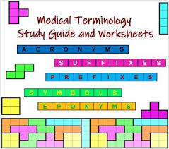 Medical Terminology Prefixes Worksheets Teaching Resources