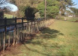 Hedges are cheaper, more beautiful, and are good for the environment. Planting A New Hedge Garden World