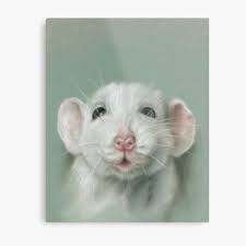 Hongyh mascota pequeña rata aseo, plaza potty trainer esq. Laminas Metalicas Rata Albina Redbubble