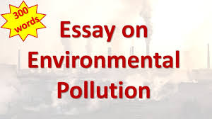 environment pollution essay