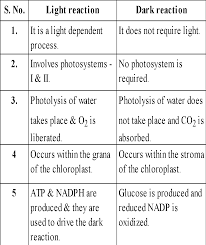 Photosynthesis in Higher Plants | Biology Notes for NEET/AIIMS/JIPMER