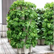 grow plants in a vertical garden tower