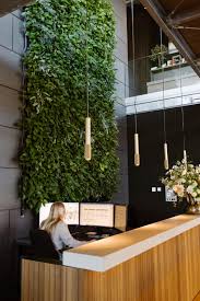 Biophilic Design With Green Wall