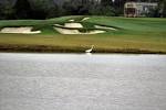 Mallard Golf Club / Lake Charles, Louisiana