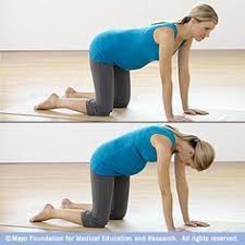 In cat she's allowing her shoulder blades to separate off the back and breathing into the lower back to let it stretch. Yoga While Pregnant