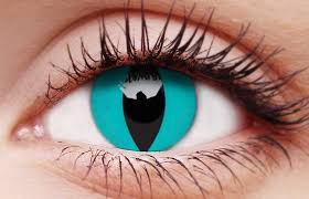 Contact lenses are ocular prosthetic devices used by over 150 million people worldwide. Cheshire Cat