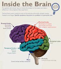 Symptoms could range from benign to severe. Basics Of Brain Tumors Johns Hopkins Medicine