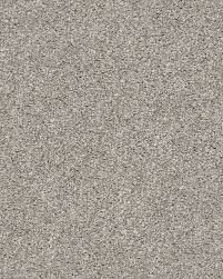 shaw 5e289 suave carpet exchange