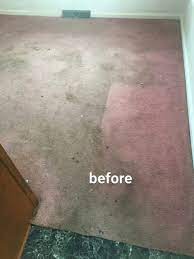 carpet cleaning jeff s chem dry carpet