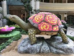 Giant Fl Turtle Made Out Of Fresh