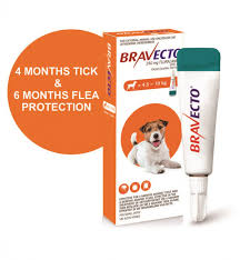 Bravecto Spot On Small Dog 4 5 10kg Tick Flea Treatment